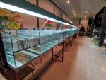 Unsere Börsenanlage verfügt über 100 Verkaufsbecken in verschiedenen Größen, mit Heizer, Pumper und LED-Beleuchtung. Wir verfügen außerdem auch über eine Ausstellungsanlage. 69737340_2375699282652881_1808511965572628480_o.jpg
