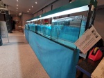 Unsere Börsenanlage verfügt über 100 Verkaufsbecken in verschiedenen Größen, mit Heizer, Pumper und LED-Beleuchtung. Wir verfügen außerdem auch über eine Ausstellungsanlage. 56770716_2276304039259073_7934780177588944896_o.jpg